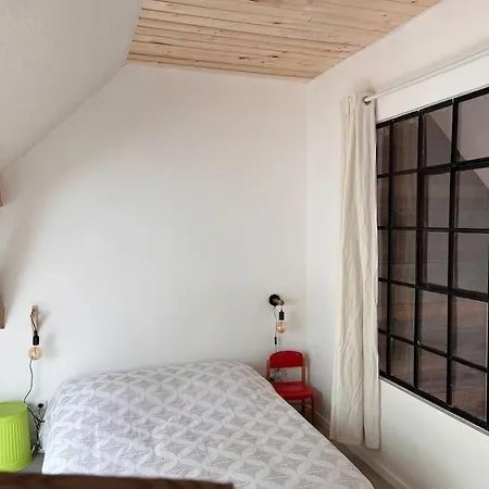 公寓 Le Grenier A Foin Breitenbach-Haut-Rhin